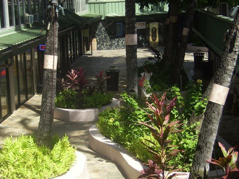 Kuhio Banyan Hotel Χονολουλού Εξωτερικό φωτογραφία